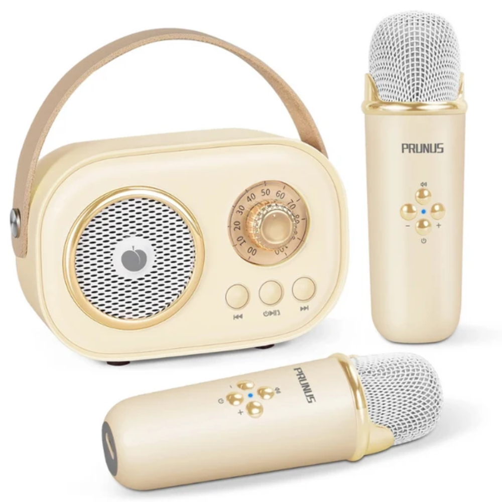 Portable Karaoke Machine – Bluetooth Speaker with Dual Wireless Microphones