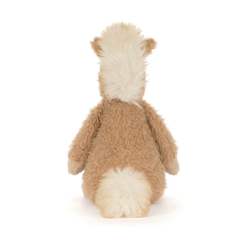 Canterneigh Pony