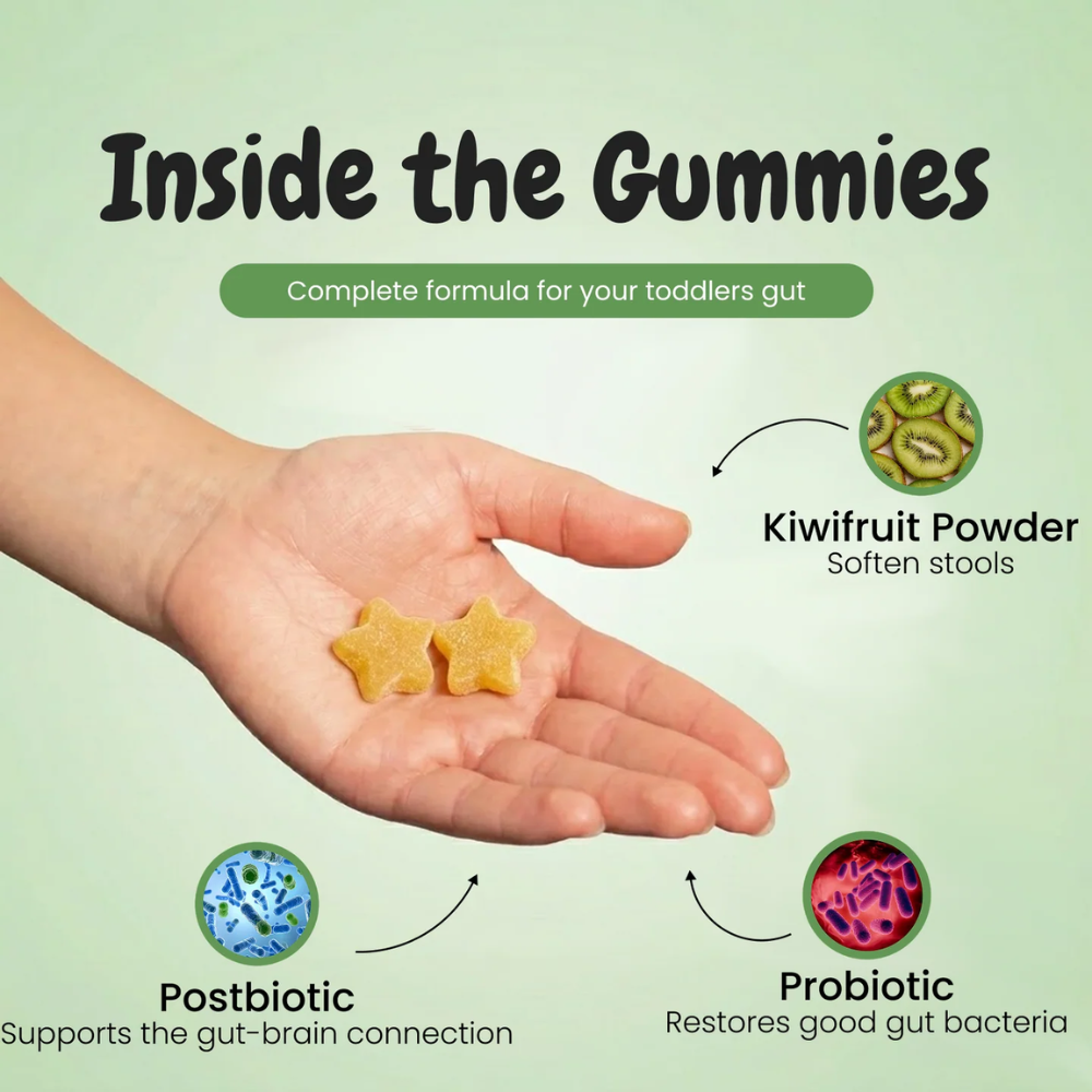Daily Gut Support Supplement – Kiwifruit Powder with Probiotics and Postbiotics for Digestive Wellness
