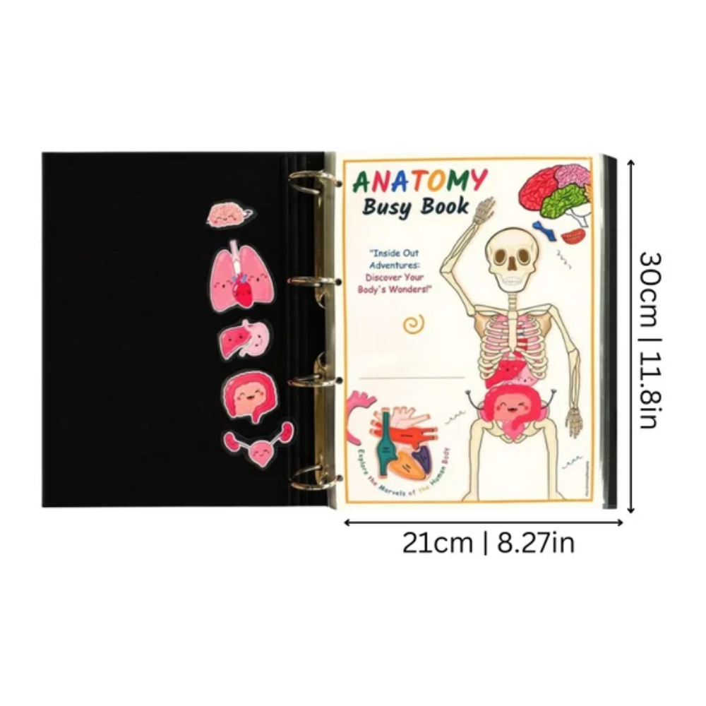 Human Body Busy Book – Interactive Anatomy Learning Book for Kids