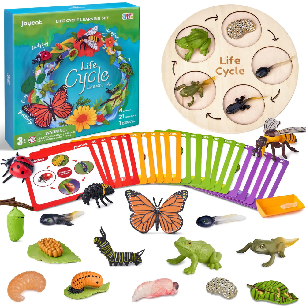 Kids Life Cycle Learning Toy – Montessori-Inspired Animal and Insect Science Set with 21 Cards and Wooden Board
