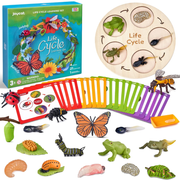 Kids Life Cycle Learning Toy – Montessori-Inspired Animal and Insect Science Set with 21 Cards and Wooden Board