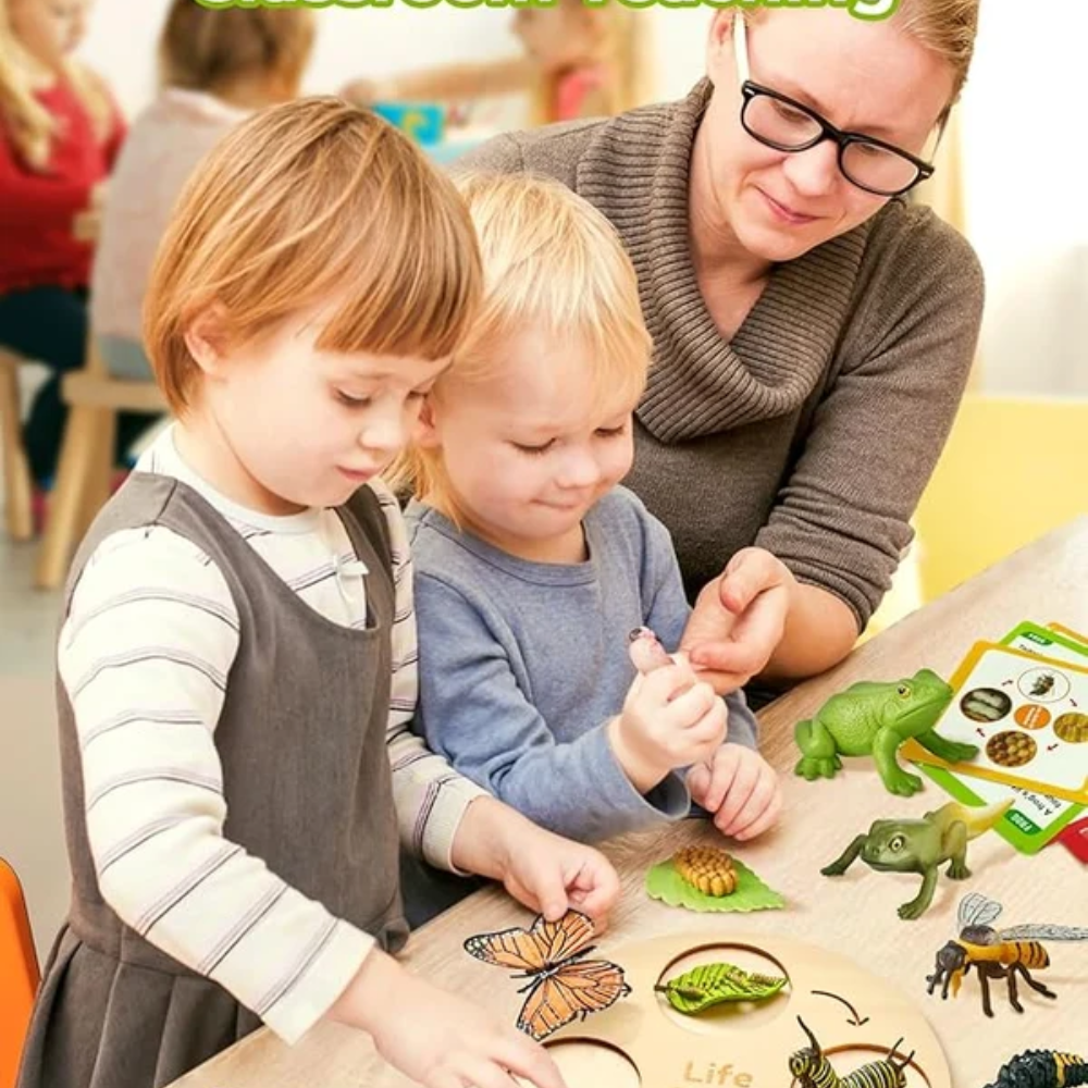 Kids Life Cycle Learning Toy – Montessori-Inspired Animal and Insect Science Set with 21 Cards and Wooden Board