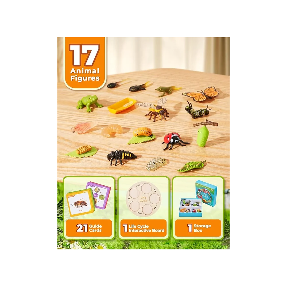 Kids Life Cycle Learning Toy – Montessori-Inspired Animal and Insect Science Set with 21 Cards and Wooden Board