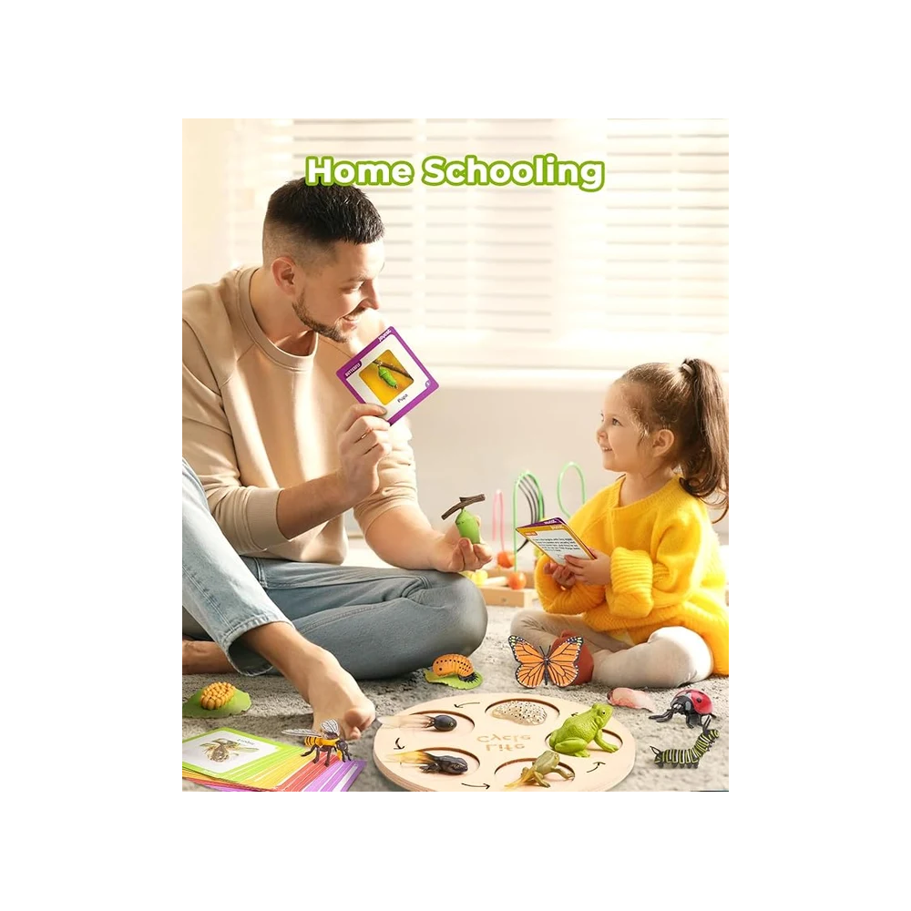 Kids Life Cycle Learning Toy – Montessori-Inspired Animal and Insect Science Set with 21 Cards and Wooden Board