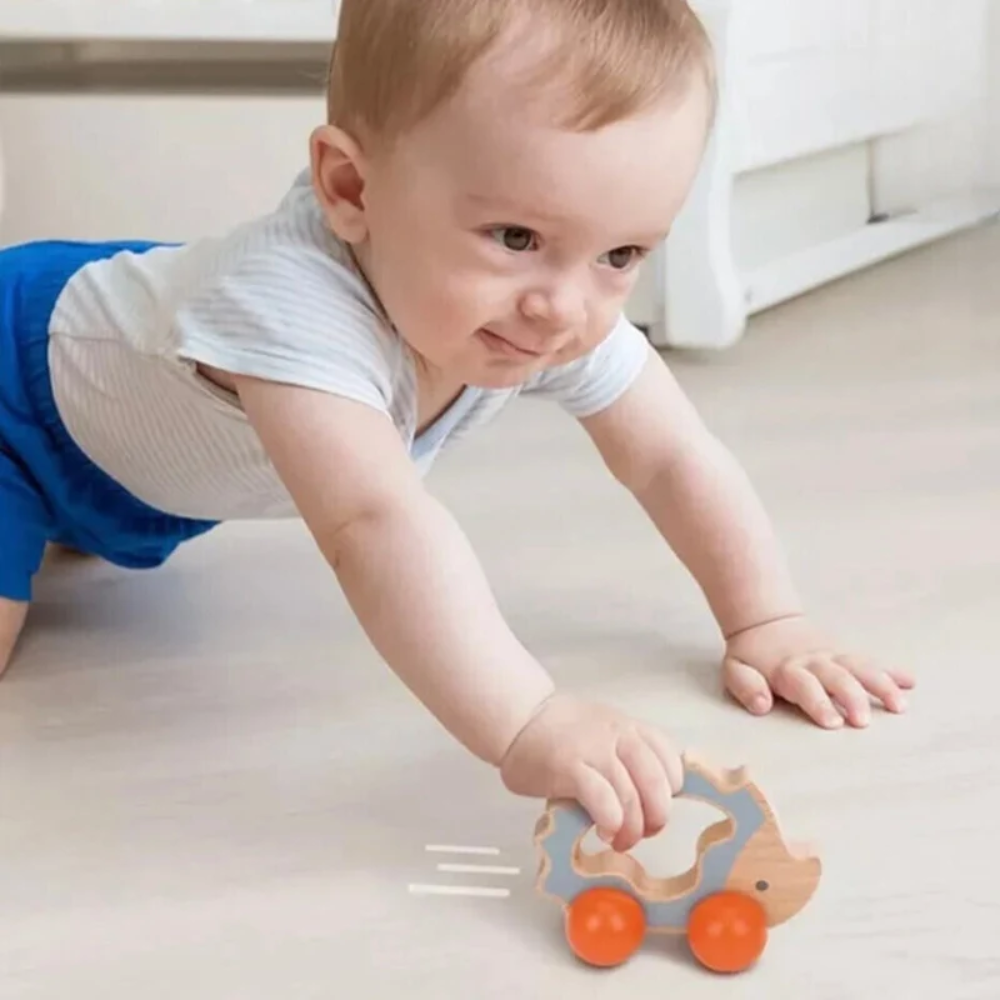Montessori Baby Play Kit 7–12 Months – 7-Piece Sensory and Educational Toy Set with Parent Guide