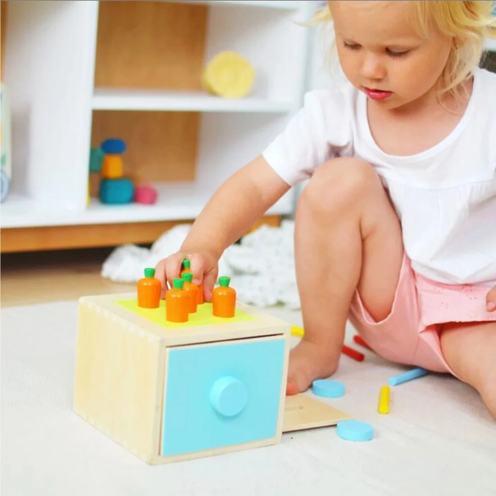 Montessori Toddler Play Kit 13–18 Months – 5-Piece Educational Learning Toy Set with Picture Book