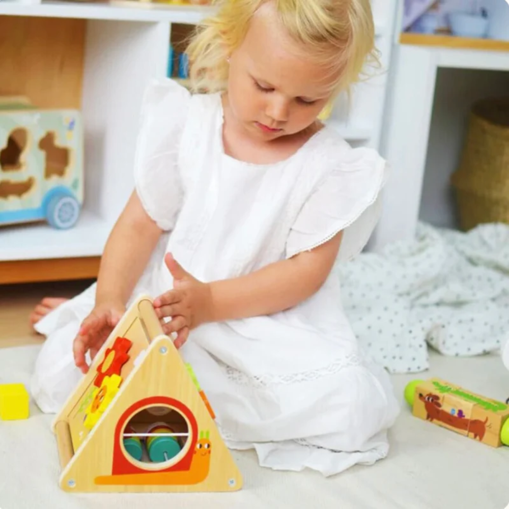 Montessori Toddler Play Kit 19–24 Months – Educational Learning and Activity Toy Set