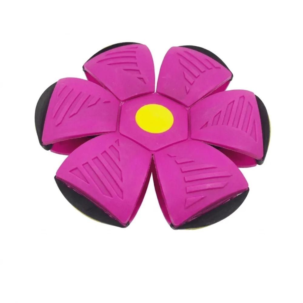 MorphoFly Flying Disc Ball – Transforming Outdoor Throwing and Catching Toy for Kids