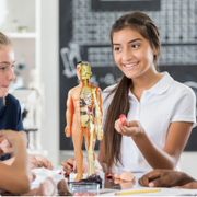 Organix Human Anatomy Model – Educational 3D Body Organ Building Toy for Kids