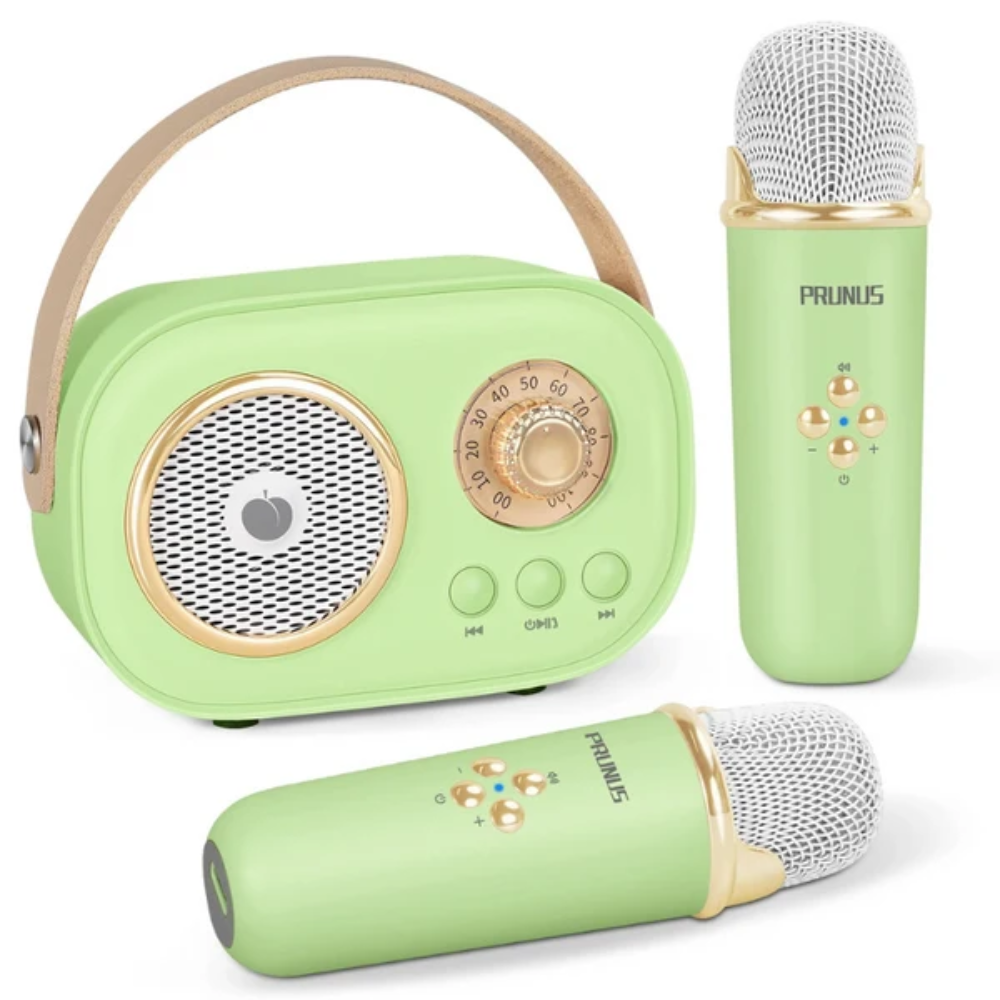 Portable Karaoke Machine – Bluetooth Speaker with Dual Wireless Microphones