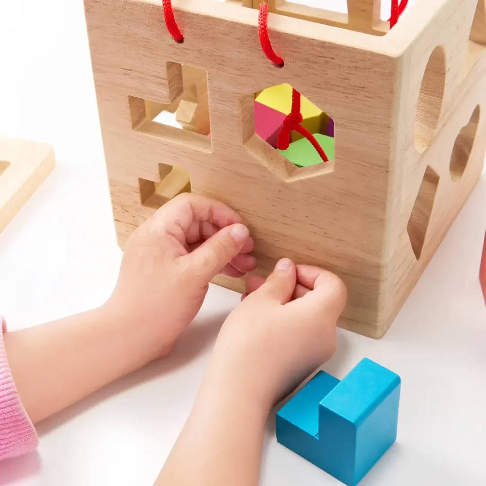 Toddler Wooden Geometric Shape Sorter – Montessori-Inspired 19-Hole Matching and Learning Toy