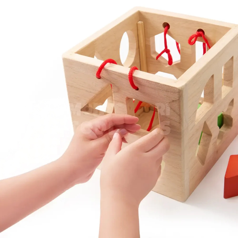 Toddler Wooden Geometric Shape Sorter – Montessori-Inspired 19-Hole Matching and Learning Toy