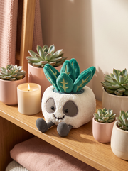 Skull Plant Pot Plush Toy lifestyle scene