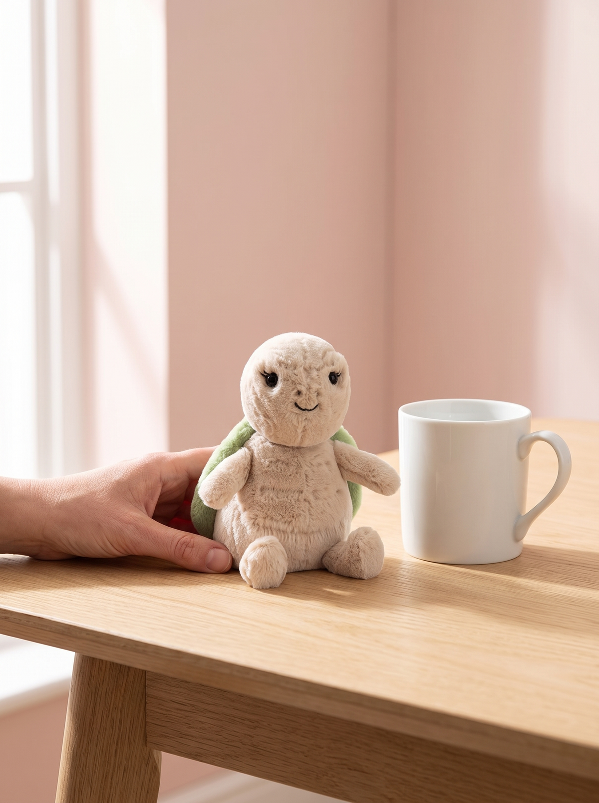 Turtle Plush Toy styled in a home setting